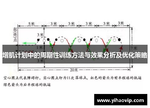 增肌计划中的周期性训练方法与效果分析及优化策略