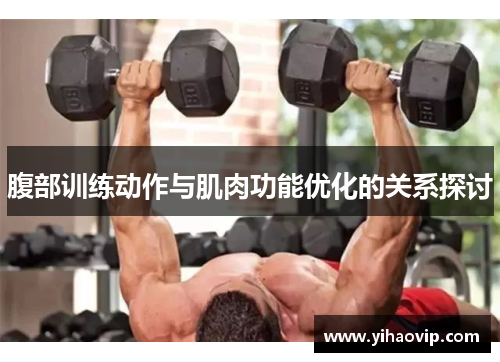 腹部训练动作与肌肉功能优化的关系探讨